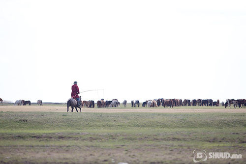 Адуундаа яваад сураггүй болсон иргэнийг ес дэх өдрөө хайж байна